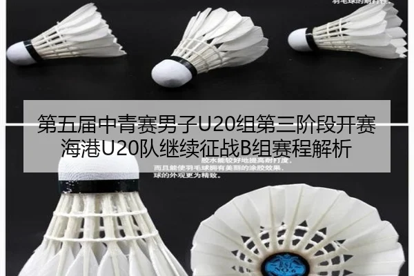 第五届中青赛男子U20组第三阶段开赛 海港U20队继续征战B组赛程解析（FBSPORTS）